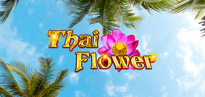 Thai Flower Spielautomat: ein Überblick