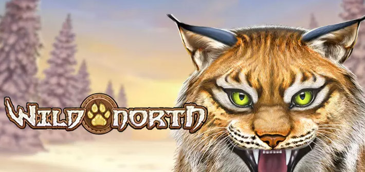 Wild North Slot-Maschine und ihre Funktionalität