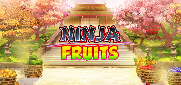 Ninja Fruits Online Spielautomat Übersicht im MrBet Blog