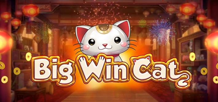 Das Automatenspiel Big Win Cat im Mr Bet