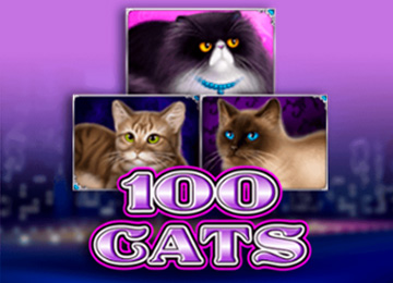 100 Cats