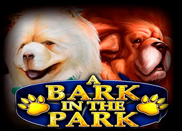 A Bark In The Park