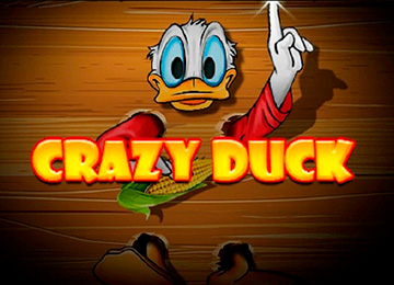 Crazy Ducky