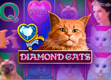 Diamond Cats