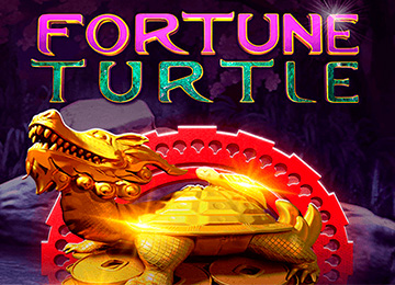 Fortune Turtle
