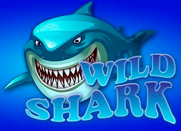 Wild Shark